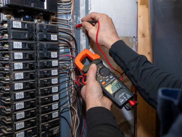 Best Local Electrician Companies  in Fulton, TX